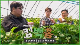 다 사주는 대표님? 일 시키는 사장님?? [컴백홈3 Come Bcak Home]ㅣKBS 방송