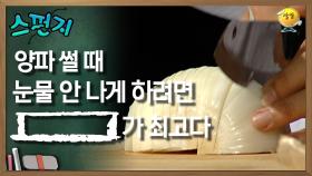 양파를 썰 때 눈물을 안 나게 하려면 [ ]이 최고다. [스펀지 레전드] | KBS 050903 방송