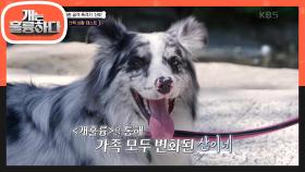 보호자들에게 더 이상 입질하지 않는 산이! 〈개훌륭〉을 통해 가족 모두 변화한 산이네😉 | KBS 240617 방송