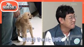 역대급 예민犬 쿠키 맞춤 체크리스트! 점검단을 알아보는 쿠키의 총명함😂 | KBS 240617 방송