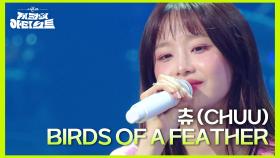 츄와 음색과 너무 잘 어울리는 빌리 아일리시의 ‘ BIRDS OF A FEATHER ’ | KBS 240628 방송