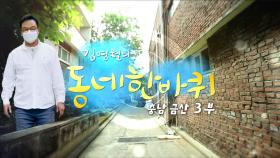 [대세남 동네한바퀴] 힘난다, 인삼골 - 충청남도 금산 3부 / KBS 20211002 방송