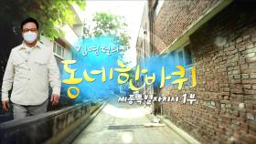 [대세남 동네한바퀴] 힘난다, 인삼골 - 충청남도 금산 4부 / KBS 20211002 방송