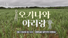 [예고] 오키나와 아리랑 | KBS 240628 방송