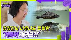 김경진의 너무나도 특별한 ’거북이 제테크?!’ | KBS 240820 방송