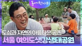 도심과 자연의 아름다운 공존 ‘서울 여의도샛강생태공원’ | KBS 240831 방송