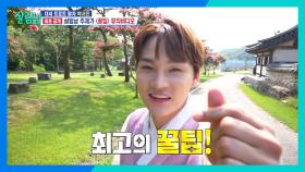 [최초 공개] 살림남 주제가 박서진의 〈꿀팁〉👍 | KBS 240921 방송