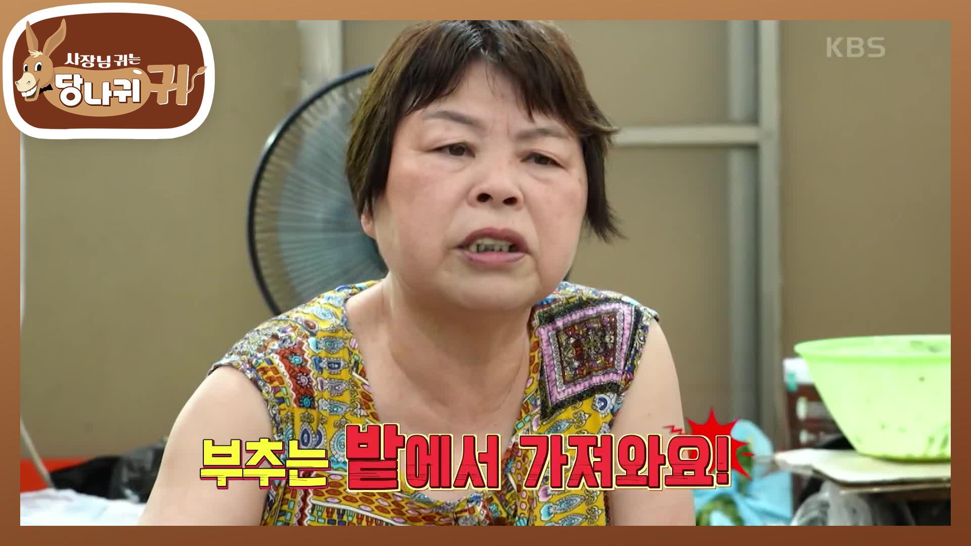 200-kbs-240922-zum-tv