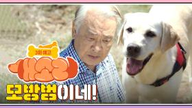 [3화 예고] 모방범이네! | KBS 방송