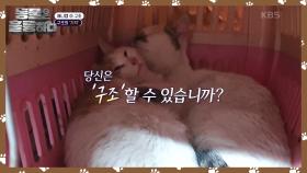 사고 직후 바로 구조된 고양이들! 애틋한 어미 고양이의 사랑🐱 | KBS 240928 방송