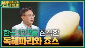 심상치 않은 해양생태계, 바다의 경고! | KBS 240929 방송