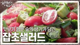 어디서도 맛보기 힘든 숲의 생기가 담긴 ‘잡초샐러드’ | KBS 240926 방송