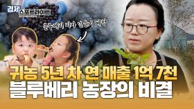 귀농 5년 차 연 매출 1억 7천만 원🫐 블루베리 농장의 비결?! [경제 스포트라이트] | KBS Life 20240923 방송