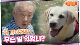 소피와 사귀는 강아지를 도와주려던 이순재 “ 나랑 사귄 지 하루 만에.. ” | KBS 241002 방송