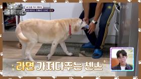 대파 배달하는 천재견? 장훈을 함박웃음 짓게 한 깜짝 게스트!🐶 | KBS 241005 방송