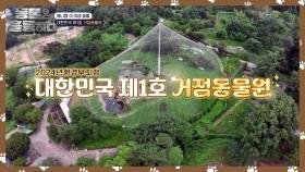 구출되어 자유를 누리게 된 곰들 in 거점동물원🐻 | KBS 241005 방송