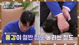 재난시! 꼭 알아야 할 반려동물 CPR 🚑️ | KBS 241012 방송