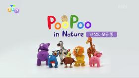 [PooPoo in Nature] 세상의 모든 똥! | KBS 241016 방송