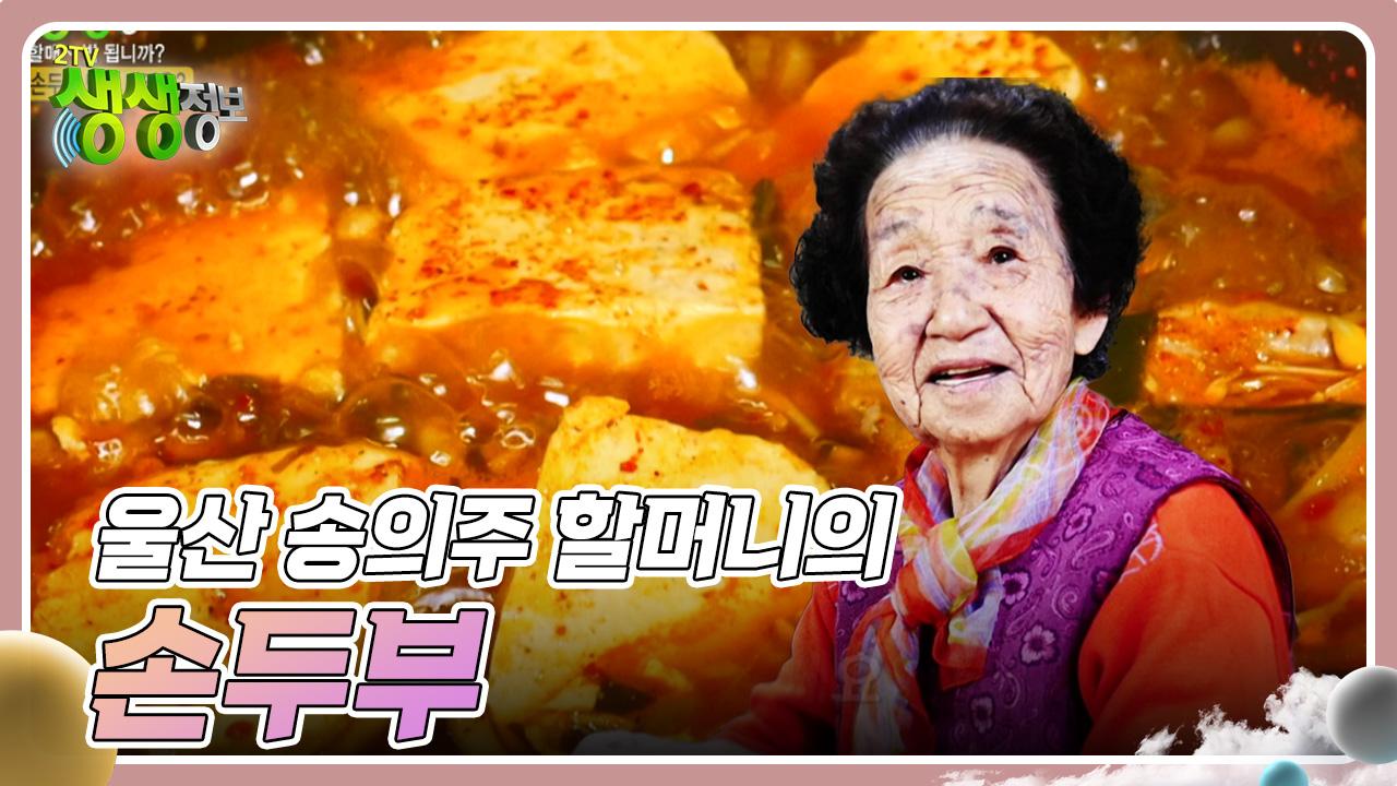 : 울산 송의주 할머니의 손두부 | KBS 241017 방송 | ZUM TV 할매~ 밥 됩니까? : 울산 송의주 할머니의 손두부 | KBS 241017 방송