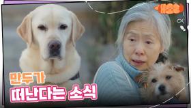 소피에게 만두가 떠난다는 소식을 들은 예수정 “ 떠나기 전에 잡아야 돼 ” | KBS 241016 방송