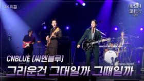 [가로] CNBLUE (씨엔블루) - 그리운건 그대일까 그때일까 (A Sleepless Night) | KBS 241018 방송