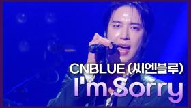 CNBLUE (씨엔블루) - Im Sorry | KBS 241018 방송