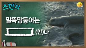 말뚝망둥어는 [ ]다. [스펀지 레전드] | KBS 051029 방송