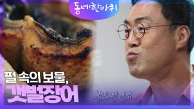 펄 속의 보물, 갯벌장어 | KBS 241019 방송