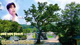 고향집🏡 #양지원 과 함께하는 예산군 대술면 상수리나무🌳 / KBS 대전 방송