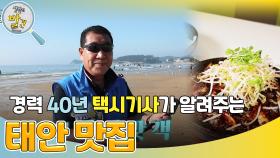 경력 40년 택시기사가 알려주는 충청남도 태안군 맛집! | KBS 241021 방송