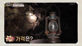 희망을 비추는 등불이 되어줬던 금송아지! ＂고마운 등불이네요＂ | KBS 241023 방송