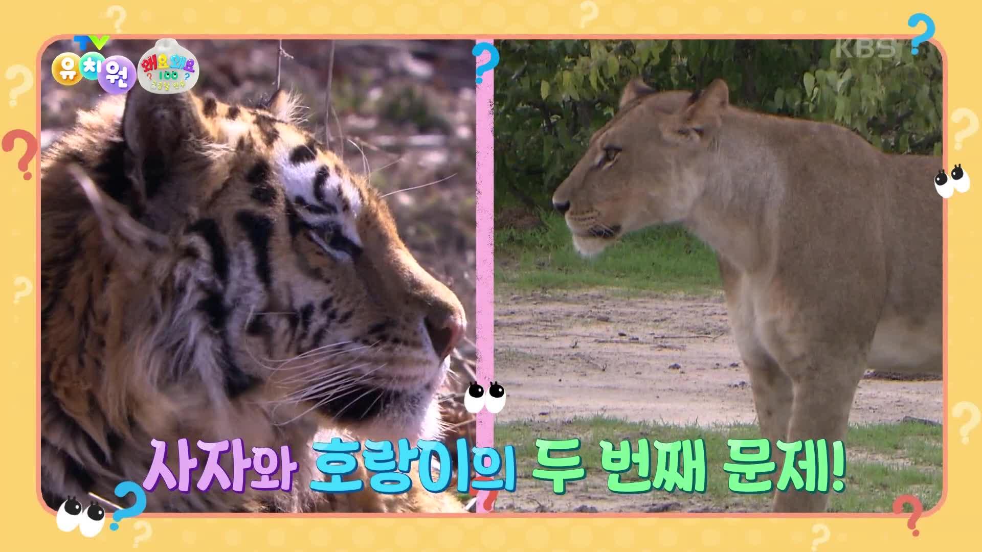 kbs-241024-zum-tv
