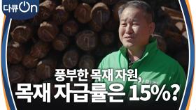 대한민국 목재 자급률 15%, 무엇이 진짜 경쟁력인가? | KBS 241026 방송