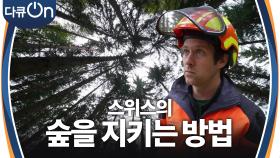 숲을 지키는 사람들, 스위스의 산림경영 | KBS 241026 방송