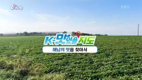 [K-맛있을지도] 해남의 맛을 찾아서 | KBS 241029 방송