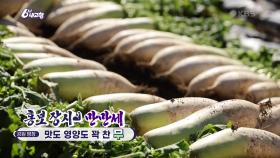 [홍보 장사 만만세] 맛도 영양도 꽉 찬 무 | KBS 241029 방송