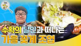 수확의 달인과 함께 떠나는 제철 맞은 가을 꽃게 조업 | KBS 241029 방송