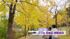 [영주 기행] 영주는 오늘도 태평성대 | KBS 241101 방송