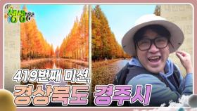 미스터Lee의 사진 한 컷, 대한민국 : 419번째 미션, 경상북도 경주시 | KBS 241112 방송