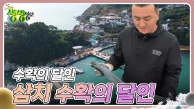 수확의 달인 : 삼치 수확의 달인 | KBS 241114 방송