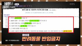 사유재산으로 취급받는 반려동물? 아사 직전의 고양이 19마리 구조 작전🚑️ | KBS 241116 방송