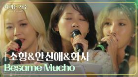 소향&안신애&화사 - Besame Mucho [나라는 가수/Moving Voices] | KBS 241116 방송