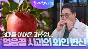 3대를 이어온 과수원... 얼음골 사과의 와인 변신 | KBS 241130 방송