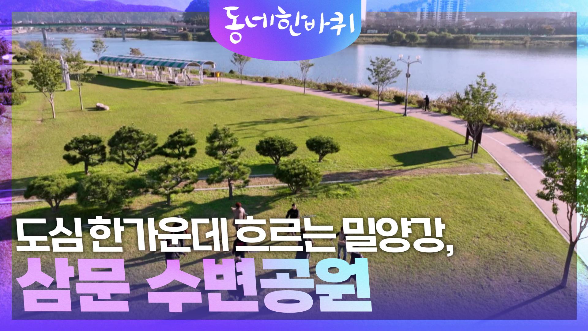 도심 한가운데 흐르는 밀양강, 삼문 수변공원 | KBS 241130 방송 | ZUM TV
