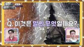 말의 이것으로 빨래까지 가능한 이것의 정체는?! | KBS 241209 방송