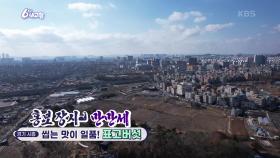 [홍보 장사 만만세] 씹는 맛이 일품! 표고버섯 | KBS 241210 방송