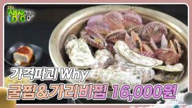 가격파괴 Why : 국내산 굴찜&가리비찜 무한 리필 1인 16,000원 | KBS 241211 방송