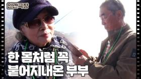 [종현 씨 감나무에 봉이 열렸네] (14/15) [인간극장/Screening Humanity] | KBS 241220 방송