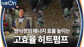 양식장의 에너지 효율 높이는 수열원 고효율 히트펌프 | KBS 241221 방송