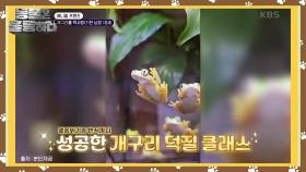 개구리를 짝사랑(?)한 낭랑 18세 | KBS 241223 방송